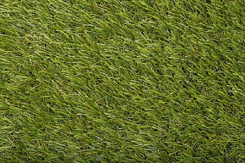 Искусственная трава Condor Blossom 3020 30 фото 1 | FLOORDEALER